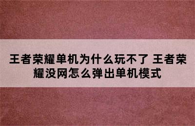 王者荣耀单机为什么玩不了 王者荣耀没网怎么弹出单机模式